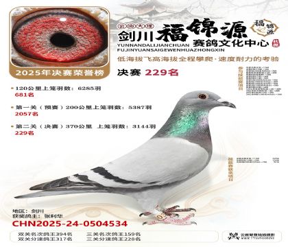 ��������Դ����229��