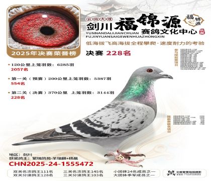 ��������Դ����228��