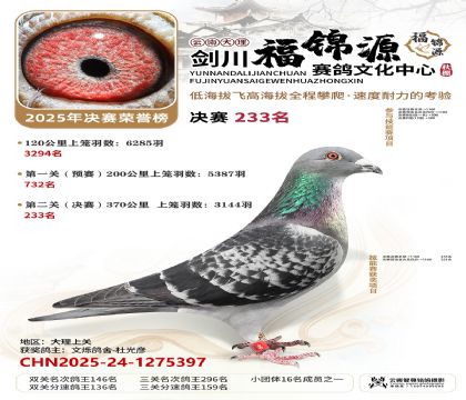 ��������Դ����233��