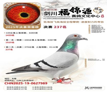 ��������Դ����237��