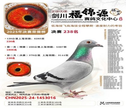 ��������Դ����238��