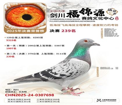 ��������Դ����239��