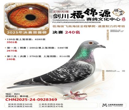 ��������Դ����240��