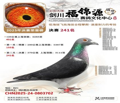 ��������Դ����241��