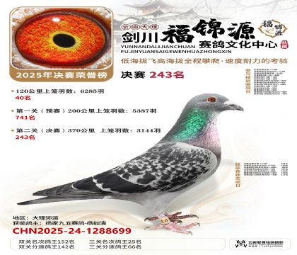 ��������Դ����243��