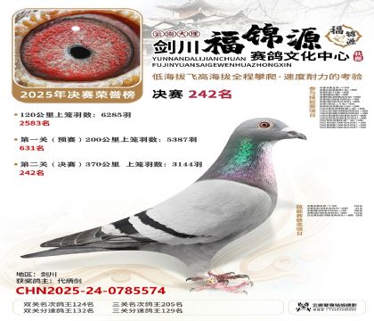 ��������Դ����242��