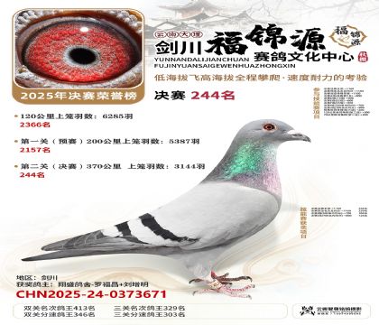 ��������Դ����244��