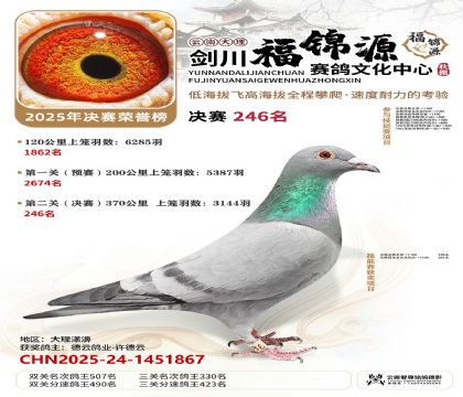 ��������Դ����246��