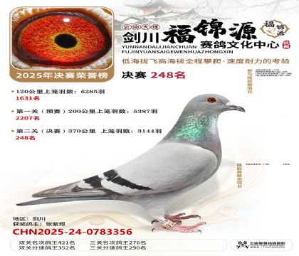 ��������Դ����248��