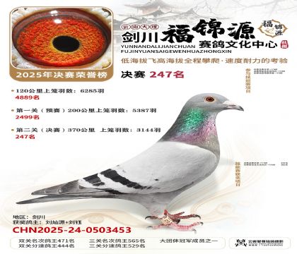 ��������Դ����247��