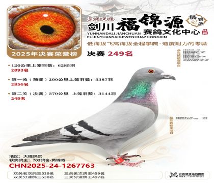 ��������Դ����249��