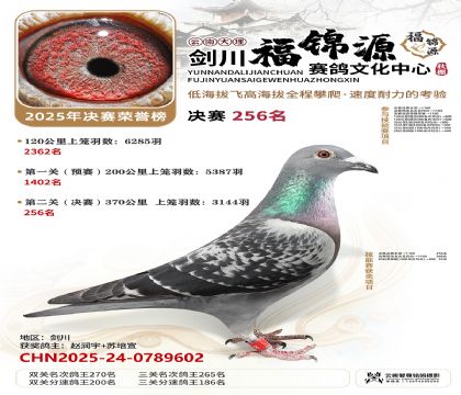 ��������Դ����256��