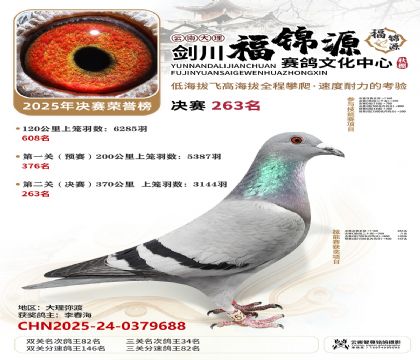 ��������Դ����263��