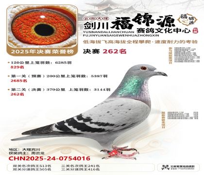 ��������Դ����262��