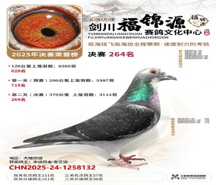 ��������Դ����264��