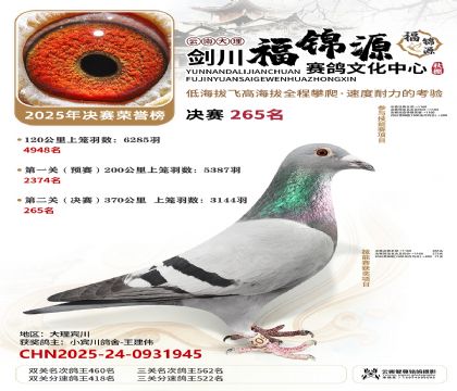 ��������Դ����265��