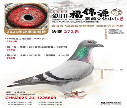 ��������Դ����272��