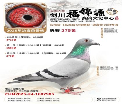 ��������Դ����275��