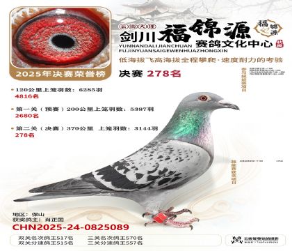 ��������Դ����278��