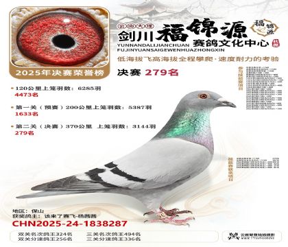 ��������Դ����279��