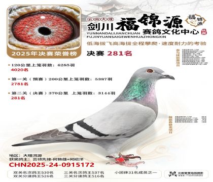 ��������Դ����281��