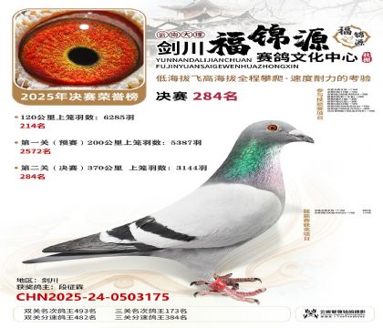 ��������Դ����284��