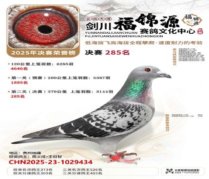 ��������Դ����285��