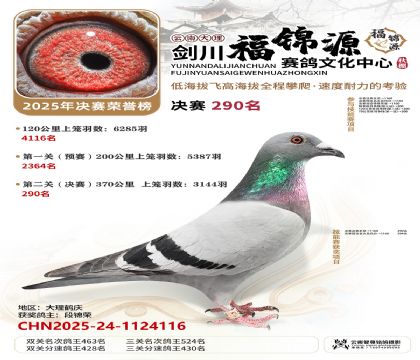 ��������Դ����290��