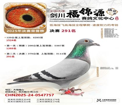 ��������Դ����291��