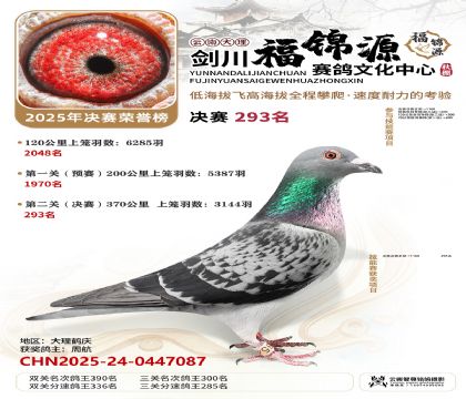 ��������Դ����293��