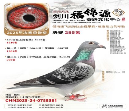 ��������Դ����295��