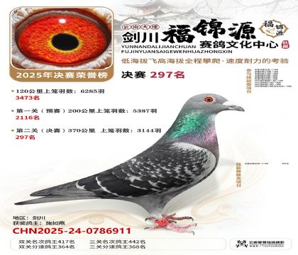 ��������Դ����297��