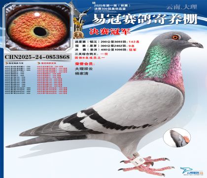 �����׹ھ����ھ������ظ����ھ���