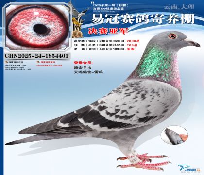 �����׹ھ����Ǿ�