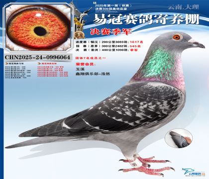 �����׹ھ�������