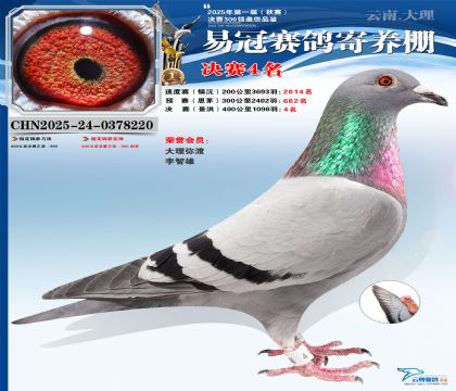 �����׹ھ���4��