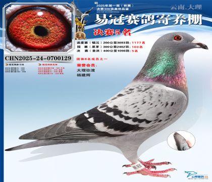 �����׹ھ���5��