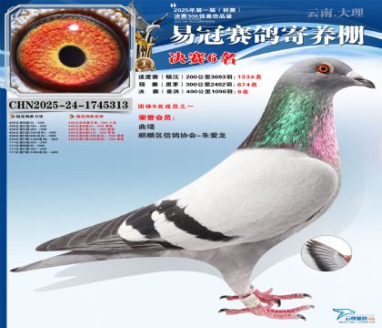 �����׹ھ���6��