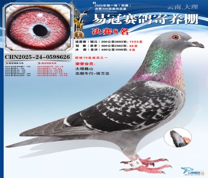 �����׹ھ���8��