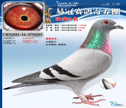 �����׹ھ���9��