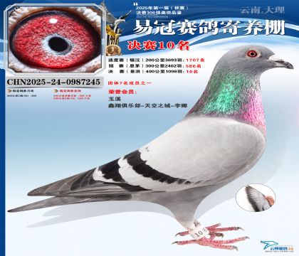 �����׹ھ���10��