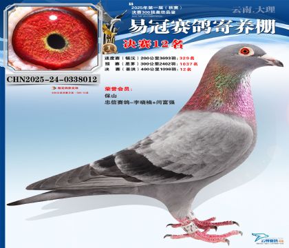 �����׹ھ���12��