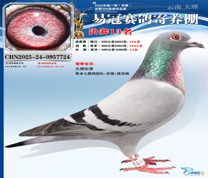 �����׹ھ���13��