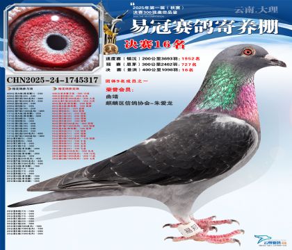 �����׹ھ���16��