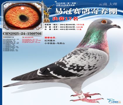 �����׹ھ���17��