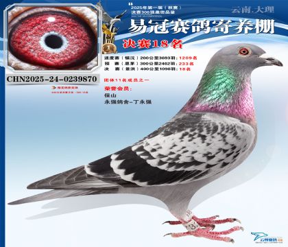 �����׹ھ���18��