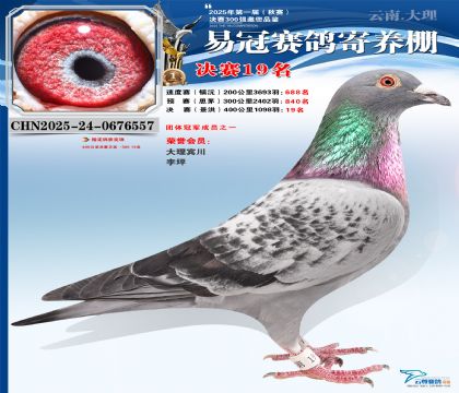 �����׹ھ���19��