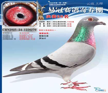 �����׹ھ���20��