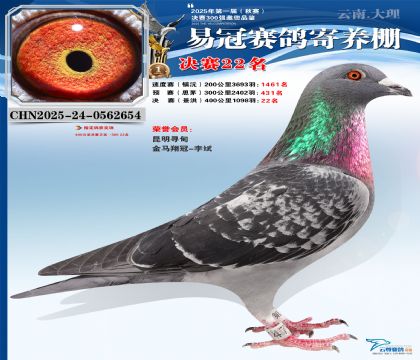 �����׹ھ���22��