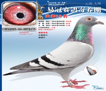 �����׹ھ���23�������ظ���������